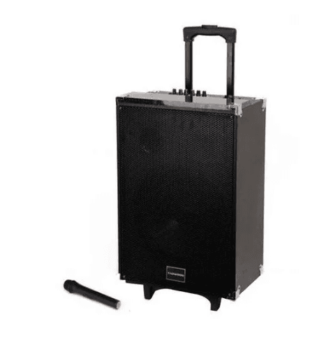TAGWOOD 10 INCHES TROLLEY SPEAKER 10" Trolley Speaker LTS-10A